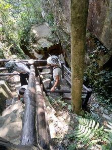 黑料吃瓜张家界视频,黑料视频背后的真相与争议