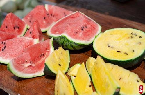 黑料不打样吃瓜,黑料不打样,吃瓜群众如何辨别真相?