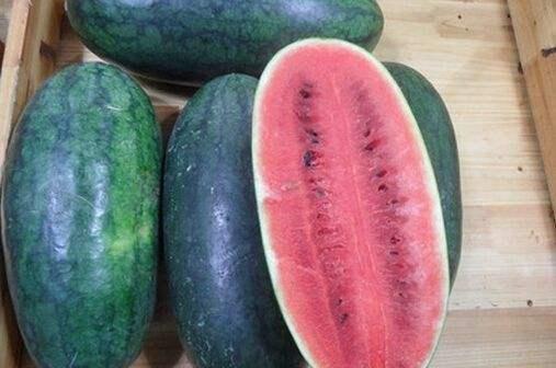 黑瓜吃料网最新入口,探索美食世界的无限可能